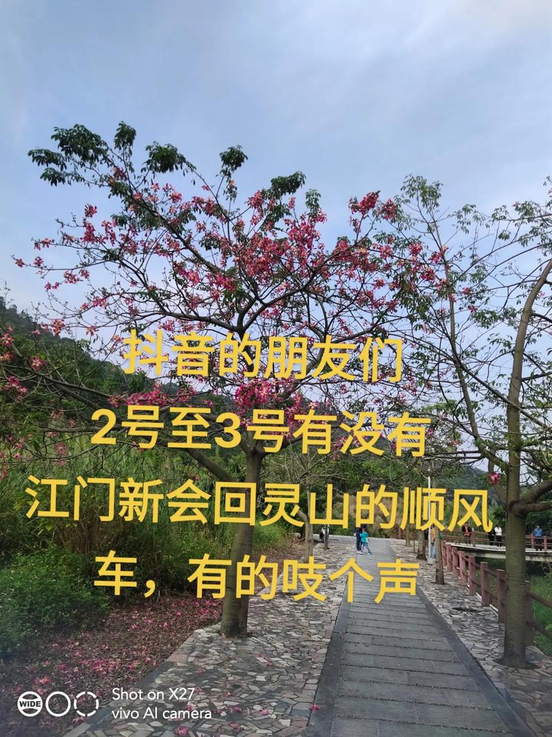 广州哪里有正规的婚外情调查公司-灵山顺风车午报（4月2号已更新）-广州佛山肇庆清
