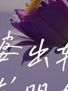 出轨男人女人都会有什么报应_出轨男人女人如何应对_男人出轨女人出轨