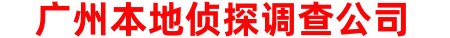 广州本地侦探调查公司